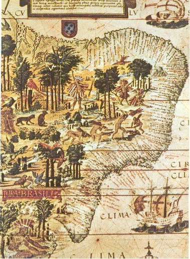 Terra Brasilis Map